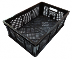 20220211_102724-removebg-preview (1)